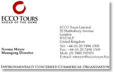 ecco business card\